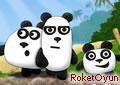 3 Panda Oyunu