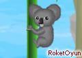 Koala Oyunu
