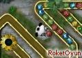 Panda Topları Oyunu